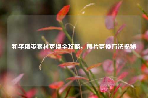 和平精英素材更换全攻略,图片更换方法揭秘
