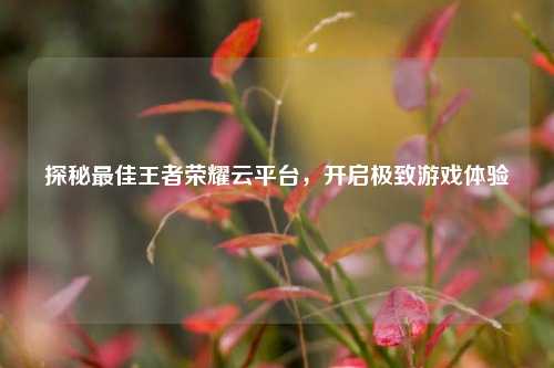 探秘最佳王者荣耀云平台，开启极致游戏体验