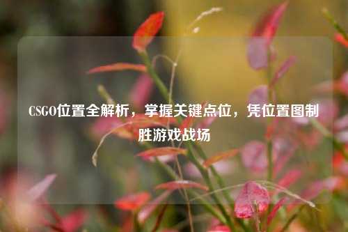 CSGO位置全解析，掌握关键点位，凭位置图制胜游戏战场