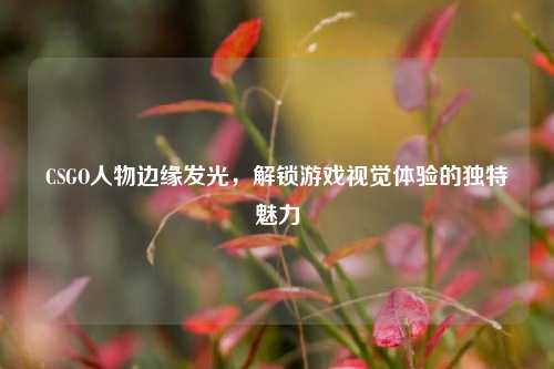 CSGO人物边缘发光,解锁游戏视觉体验的独特魅力