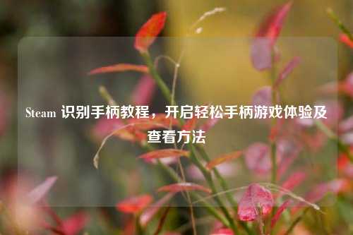 Steam 识别手柄教程,开启轻松手柄游戏体验及查看方法