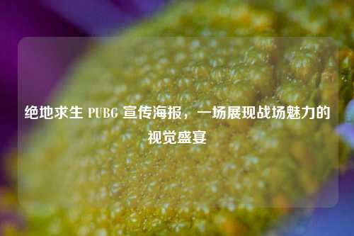 绝地求生 PUBG 宣传海报，一场展现战场魅力的视觉盛宴