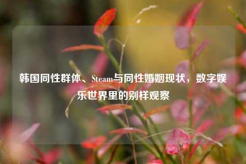 韩国同性群体、Steam与同性婚姻现状,数字娱乐世界里的别样观察
