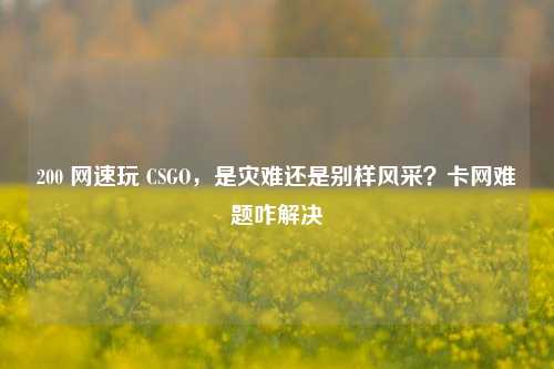 200 网速玩 CSGO,是灾难还是别样风采?卡网难题咋解决