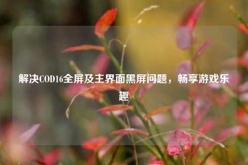 解决COD16全屏及主界面黑屏问题,畅享游戏乐趣