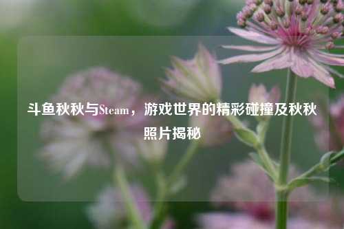 斗鱼秋秋与Steam,游戏世界的精彩碰撞及秋秋照片揭秘