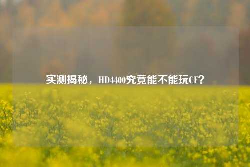 实测揭秘，HD4400究竟能不能玩CF？