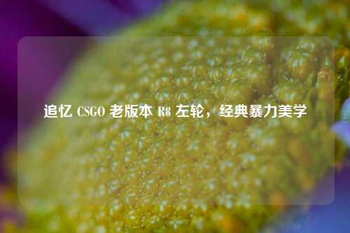 追忆 CSGO 老版本 R8 左轮,经典暴力美学