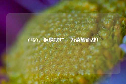 CSGO，拒绝摆烂，为荣耀而战！