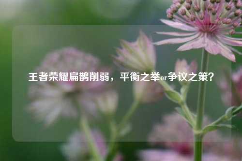 王者荣耀扁鹊削弱，平衡之举or争议之策？