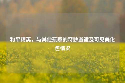 和平精英,与其他玩家的奇妙邂逅及可见美化包情况