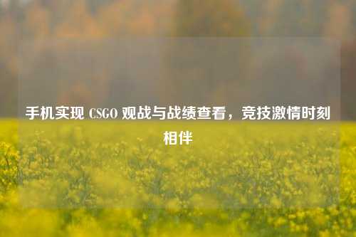 手机实现 CSGO 观战与战绩查看，竞技激情时刻相伴