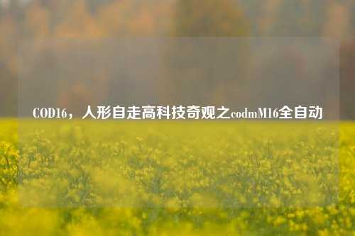 COD16,人形自走高科技奇观之codmM16全自动