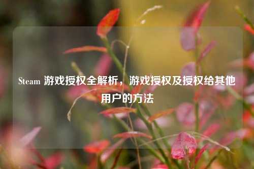 Steam 游戏授权全解析,游戏授权及授权给其他用户的方法
