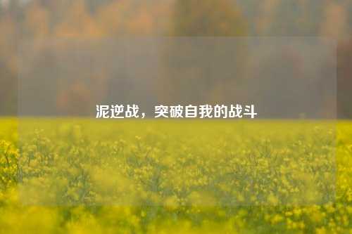 泥逆战，突破自我的战斗