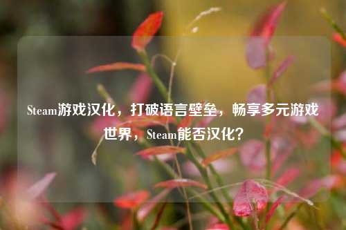 Steam游戏汉化,打破语言壁垒,畅享多元游戏世界,Steam能否汉化?