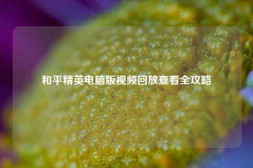 和平精英电脑版视频回放查看全攻略