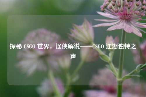 探秘 CSGO 世界,怪侠解说——CSGO 江湖独特之声