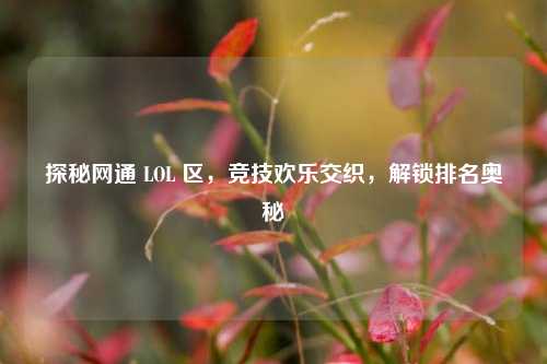 探秘网通 LOL 区,竞技欢乐交织,解锁排名奥秘