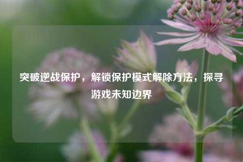 突破逆战保护,解锁保护模式解除方法,探寻游戏未知边界