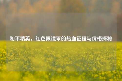 和平精英,红色眼镜罩的热血征程与价格探秘