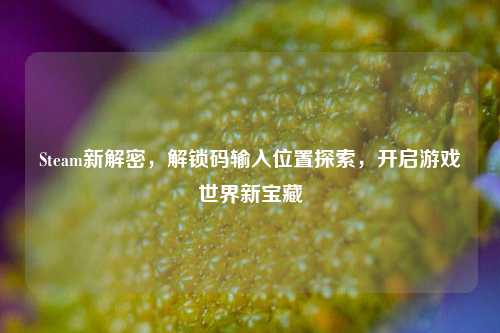 Steam新解密，解锁码输入位置探索，开启游戏世界新宝藏