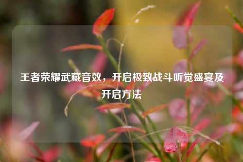 王者荣耀武藏音效,开启极致战斗听觉盛宴及开启方法