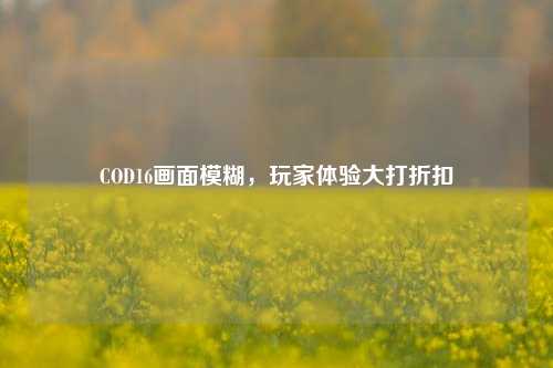 COD16画面模糊，玩家体验大打折扣