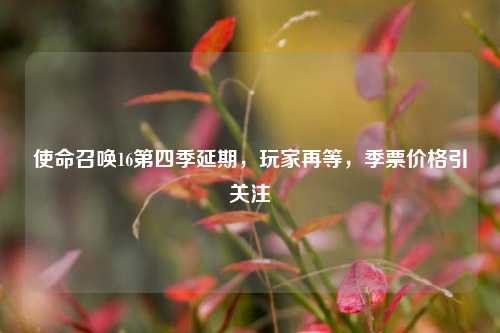 使命召唤16第四季延期,玩家再等,季票价格引关注