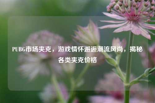 PUBG市场夹克，游戏情怀邂逅潮流风尚，揭秘各类夹克价格
