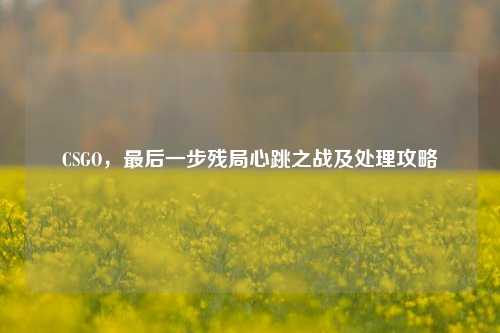 CSGO，最后一步残局心跳之战及处理攻略