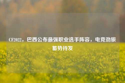 CF2022,巴西公布最强职业选手阵容,电竞劲旅蓄势待发