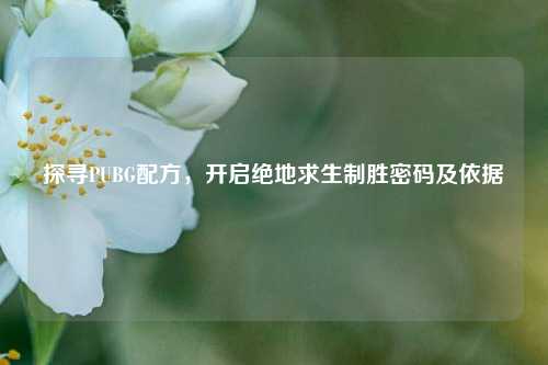 探寻PUBG配方，开启绝地求生制胜密码及依据