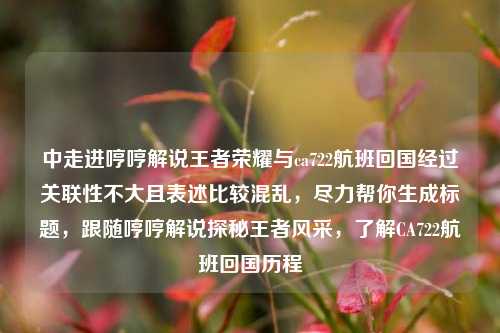 中走进哼哼解说王者荣耀与ca722航班回国经过关联性不大且表述比较混乱，尽力帮你生成标题，跟随哼哼解说探秘王者风采，了解CA722航班回国历程