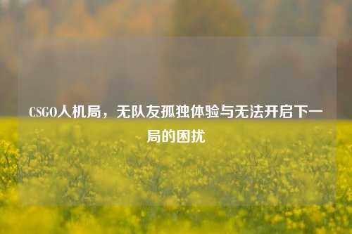 CSGO人机局,无队友孤独体验与无法开启下一局的困扰