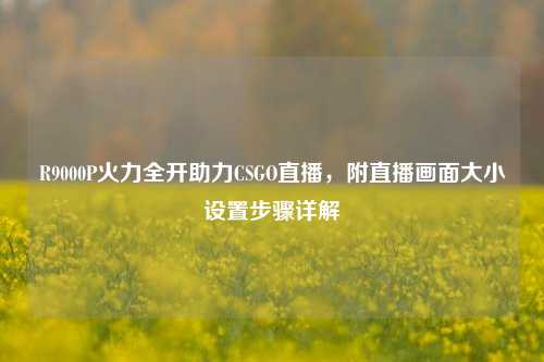 R9000P火力全开助力CSGO直播,附直播画面大小设置步骤详解