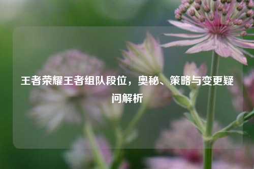 王者荣耀王者组队段位,奥秘、策略与变更疑问解析
