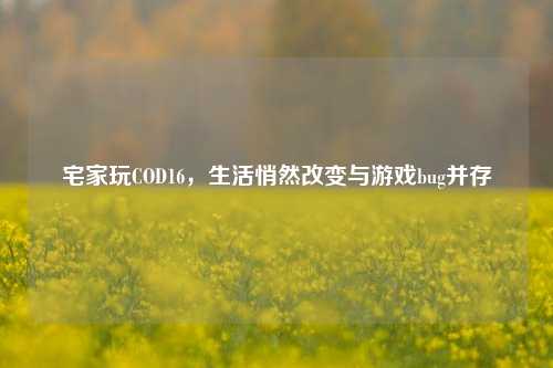 宅家玩COD16，生活悄然改变与游戏bug并存