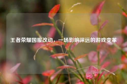 王者荣耀国服改动,一场影响深远的游戏变革