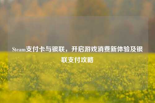 Steam支付卡与银联,开启游戏消费新体验及银联支付攻略