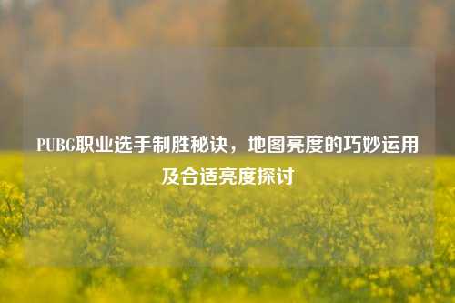 PUBG职业选手制胜秘诀,地图亮度的巧妙运用及合适亮度探讨