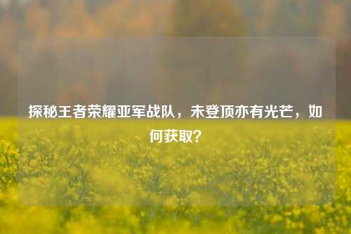 探秘王者荣耀亚军战队，未登顶亦有光芒，如何获取？