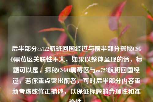 后半部分ca722航班回国经过与前半部分探秘CSGO黑莓区关联性不大,如果以整体呈现的话,标题可以是,探秘CSGO黑莓区与ca722航班回国经过,若你重点突出前者,可对后半部分内容重新考虑或修正描述,以保证标题的合理性和准确性。