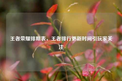 王者荣耀排期表，王者排行更新时间引玩家关注