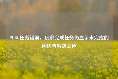 PUBG任务错误,玩家完成任务仍显示未完成的困扰与解决之道