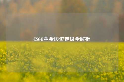 CSGO黄金段位定级全解析