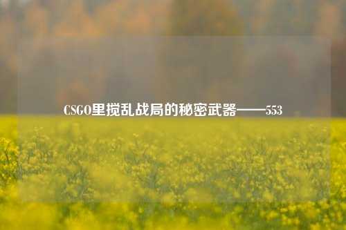 CSGO里搅乱战局的秘密武器——553
