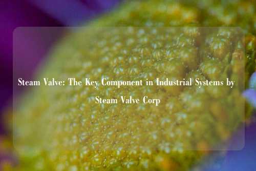 Steam Valve: The Key Component in Industrial Systems by Steam Valve Corp