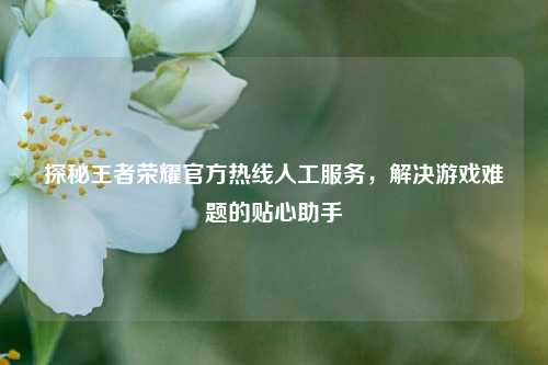 探秘王者荣耀官方热线人工服务，解决游戏难题的贴心助手