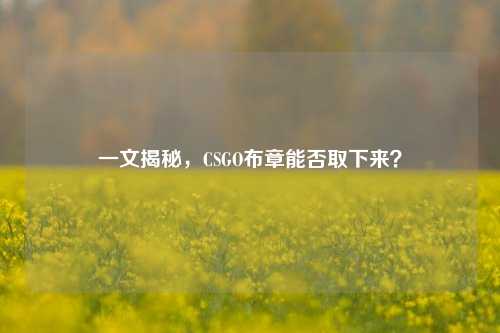 一文揭秘，CSGO布章能否取下来？